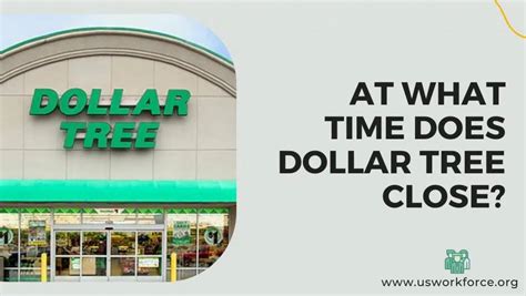 dollar tree stores in boston ma|dollar tree store hours open.